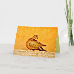 Cartão Beleza da pomba