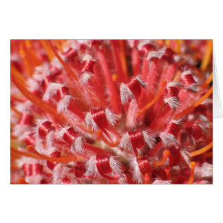 Cartão Beleza de Alemany