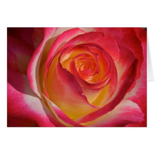 Cartão Beleza de dentro (Frente Horizontal)