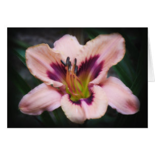 Cartão Beleza de papel