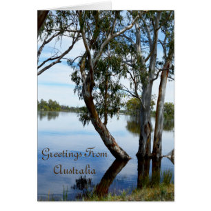 Cartão Beleza De Um Riverland Da Goma Tree, Austrália,