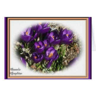 Cartão Beleza do açafrão