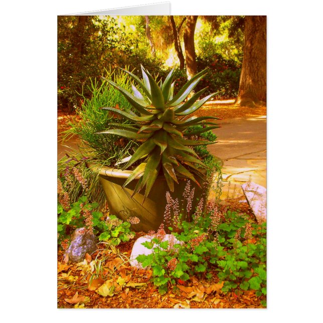 Cartão Beleza do deserto (Frente)