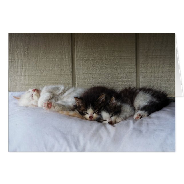 Cartão Beleza Dormindo (Frente Horizontal)