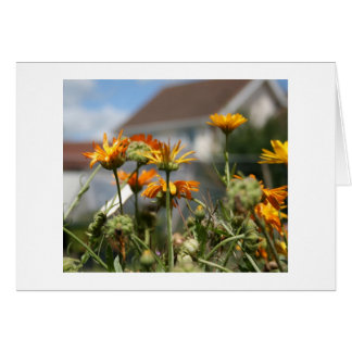 Cartão Beleza Esmagadora