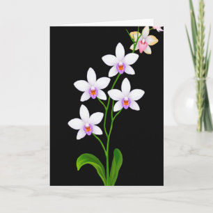 Cartão Beleza Floral Preta