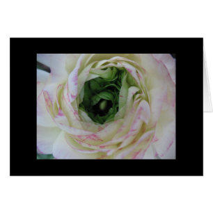 Cartão Beleza interna