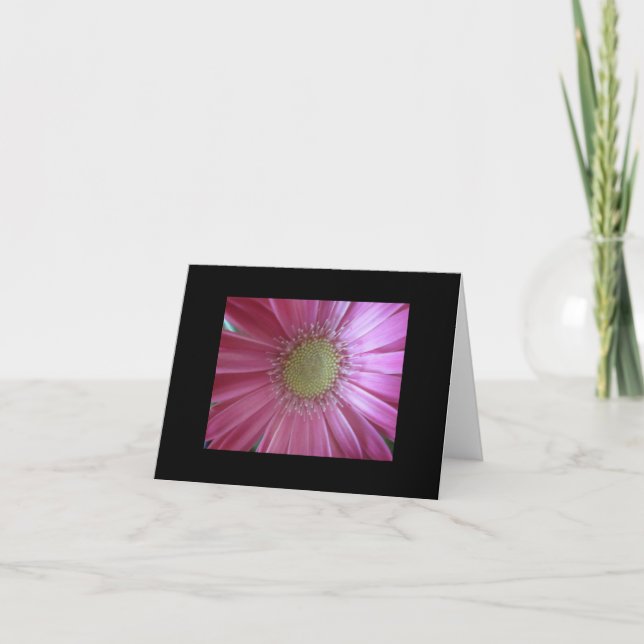 Cartão Beleza Margarida Rosa (Frente)