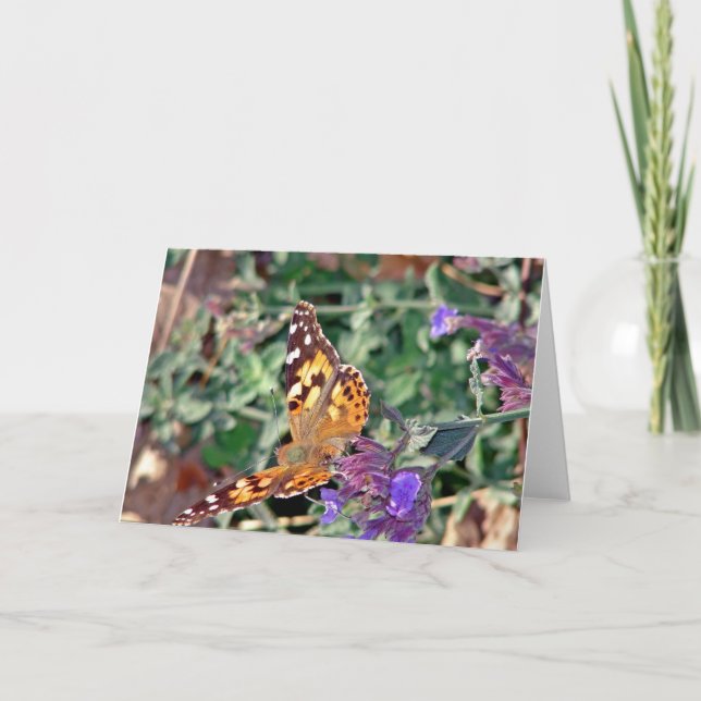 Cartão Beleza na Natureza (Frente)