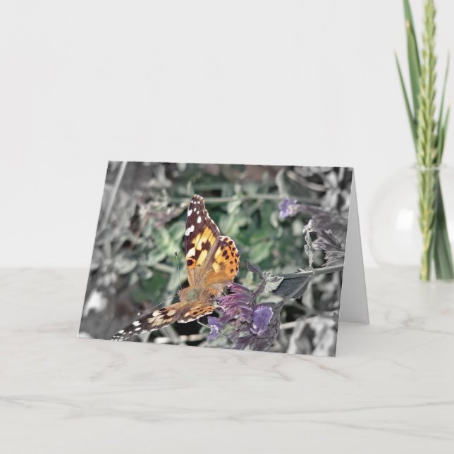 Cartão Beleza na Natureza (Frente)