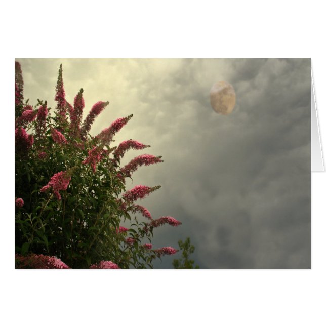 Cartão Beleza na tempestade (Frente Horizontal)