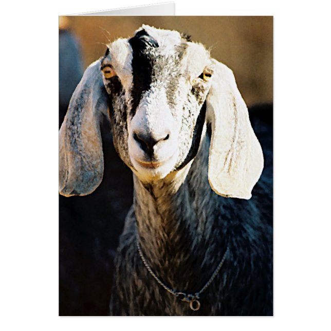 Cartão Beleza Nubiana (Frente)