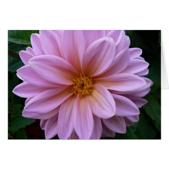 Cartão Beleza Rosa (Frente Horizontal)