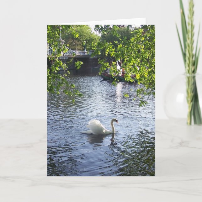 Cartão Beleza sob os ramo (Frente)