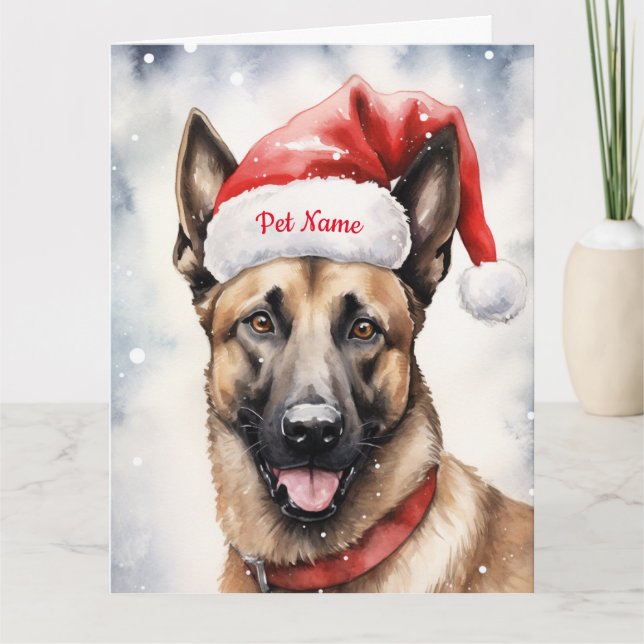 Cartão Belga Malinoi Christmas Personalizada (Frente)