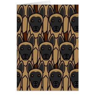 Cartão Belga Malinois