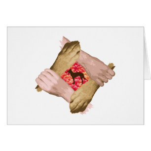 Cartão Belga Malinois