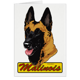 Cartão Belga Malinois