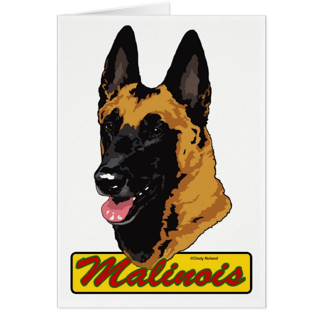 Cartão Belga Malinois (Frente)