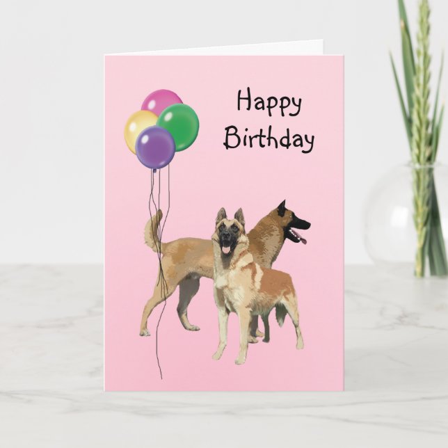 Cartão Belga Malinois, Balões de Aniversário (Frente)