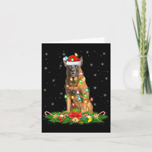 Cartão Belga Malinois Dog Natal Luz Papais noeis Engraçad