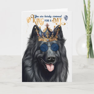 Cartão Belga Sheepdog King para um dia de aniversário eng