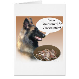 Cartão Belga Tervuren Turquia