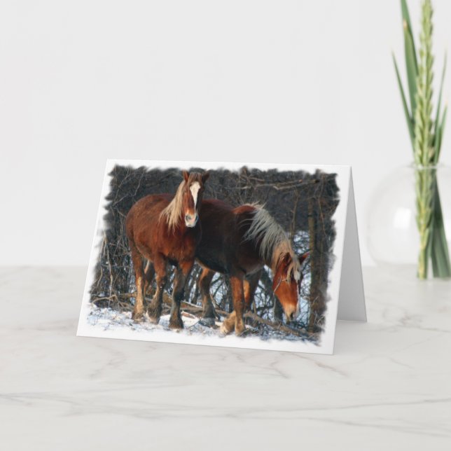 Cartão Belgian Draft Horses Greeting Card (Frente)