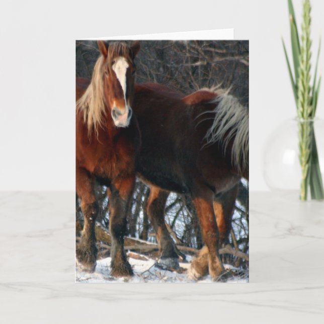 Cartão Belgian Draft Horses Greeting Card (Frente)
