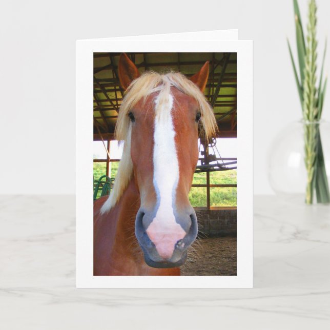 Cartão Belgian Greeting Cards (Frente)