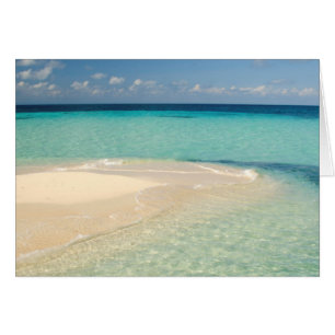 Cartão Belize, Mar do Caribe. Goff Caye, Uma Pequena Ilha