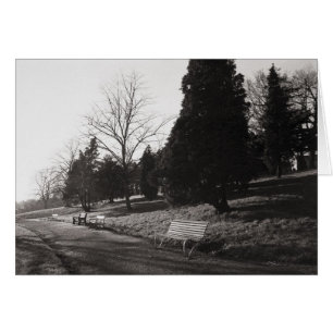 Cartão Bell Vue Park, Newport, Mon (Dez. 1977)