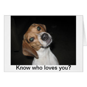 Cartão Belle de Lulu