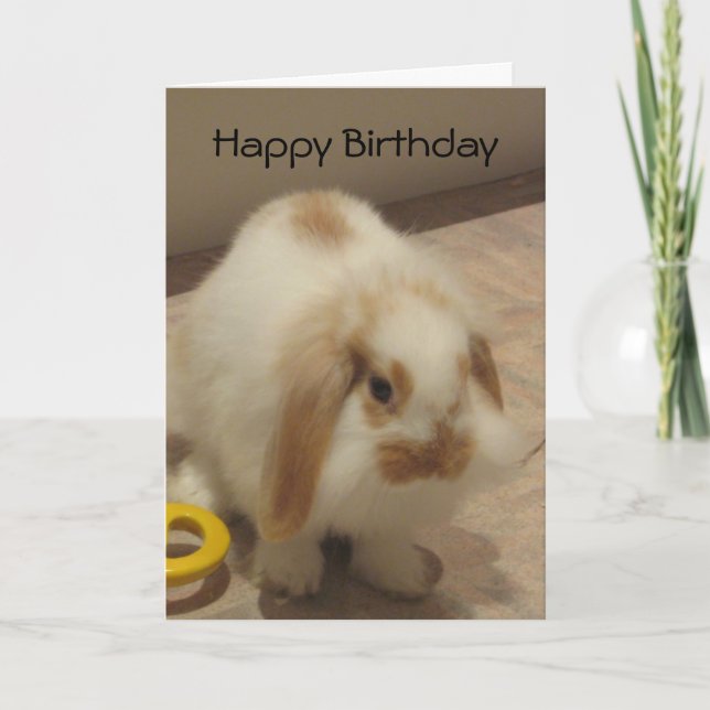 Cartão Belle The Rabbit Birthday Card (Frente)