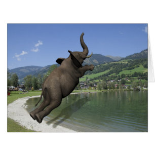 Cartão Belly Flop Elephant