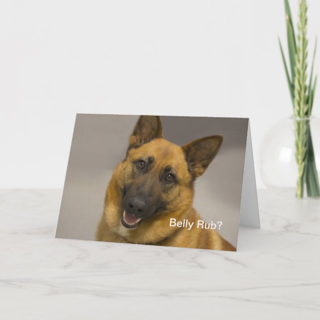 Cartão Belly Rub German Shepherd Birthday Card (Frente)