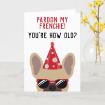 Belo aniversário do Buldogue Francês