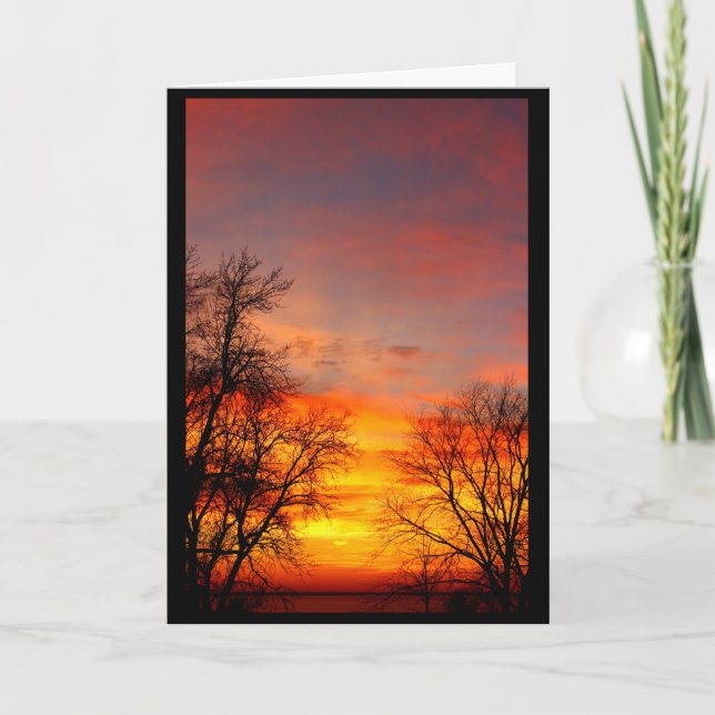 Cartão Belo Aniversário Do Sol Ao Sol (Frente)