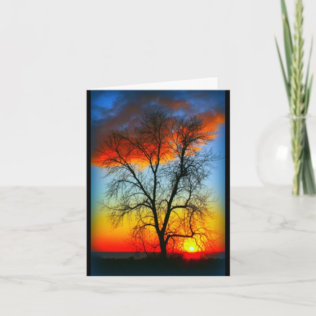 Cartão Belo Aniversário Do Sol Ao Sol (Frente)