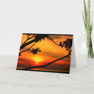 Cartão Belo Aniversário Do Sol Ao Sol!