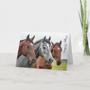 Cartão Belo Cavalo Personalizado Aniversário