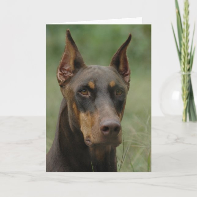 Cartão Belo Doberman (Frente)