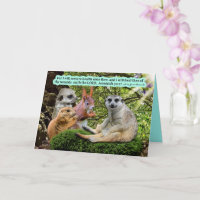 Belo Escritura de Curamento Jeremiah 30:17