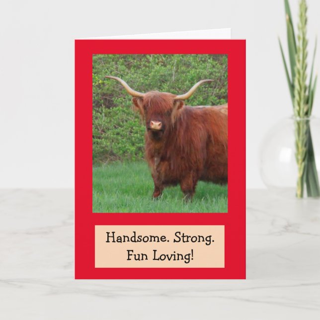Cartão Belo Funny Highland Steer Birthday (Frente)