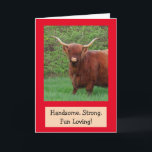 Cartão Belo Funny Highland Steer Birthday<br><div class="desc">Você é homem,  tem tudo,  certo? Bonito,  forte,  e adora divertir-se! Mostre-lhe o quão especial ele é para você com este bote de aniversário divertido e lisonjeiro. Personalize as mensagens para criar a sua saudação exclusiva. Obrigados por olhar e esperar que goste! Foto ©Christine Greenspan</div>