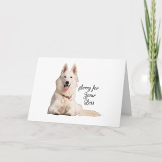Cartão Belo German shepherd Branco Desculpe por seu Los A