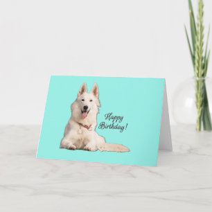 Cartão Belo German shepherd Branco Feliz Aniversário
