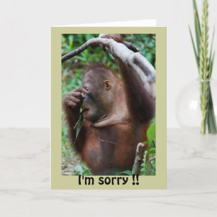 Cartão Belo Parabéns