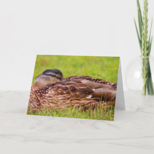 Cartão Belo Pato de Mallard, fique bem