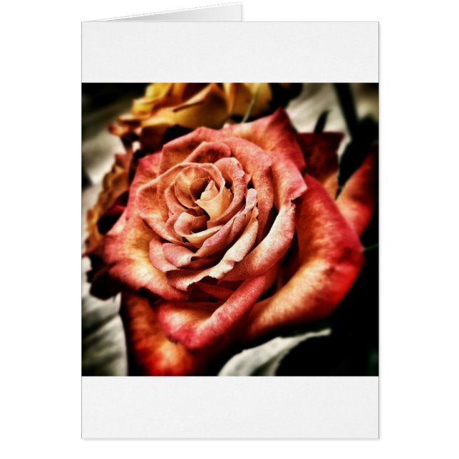Cartão Belo Rosa (Frente)